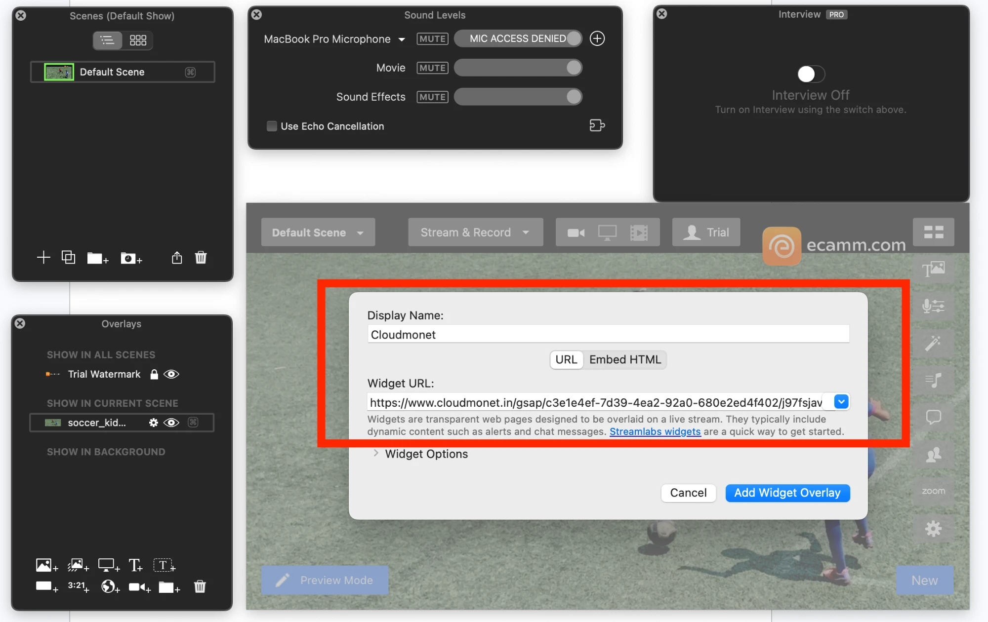 Ecamm Live New Widget dialog with the Display Name and Widget URL fields, and the Add Widget Overlay button